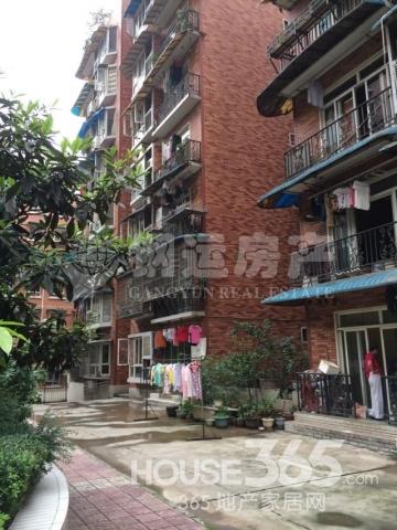 【小龙坎,嘉福苑,套内110平米精装三室,急售75