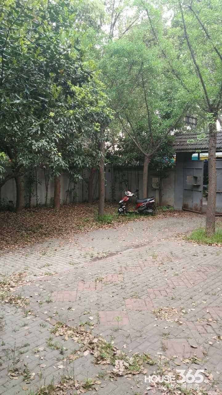 【【Q别墅】北京永久民国别墅主城区西路私人什么放房网门口盆栽图片