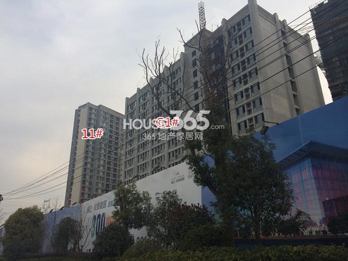 保亿风景晨园G1、11号楼施工进程图（2015.2）