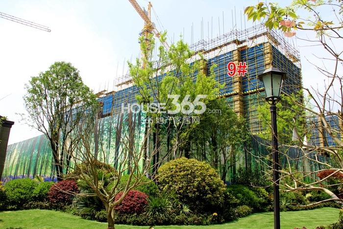阳光城翡丽湾9号楼施工进度实景图 2015年4月摄 