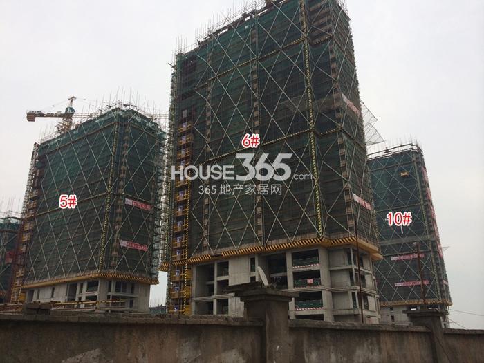 嘉丰万悦城项目5、6、10号楼施工进程图（2015.5）