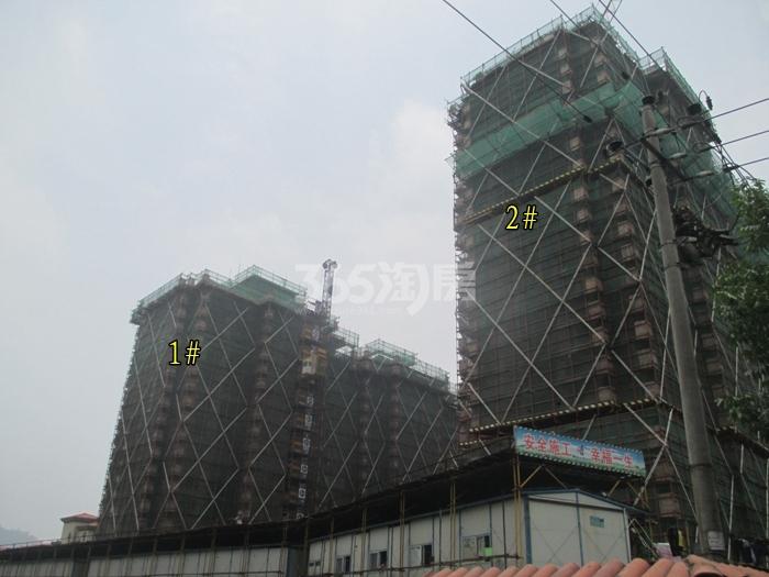 绿城蓝庭1、2号楼施工进程图（2015.6）