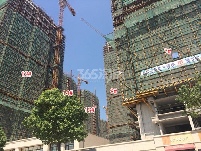 2015年8月大家运河之星项目实景--7、9、12-14号楼