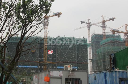 世茂天宸5号楼施工进度实景图 2015年9月摄