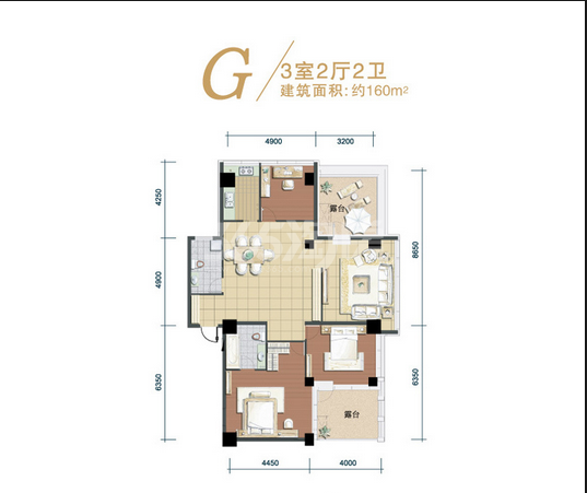 龙眼可和什么树嫁接