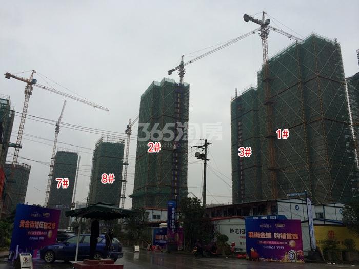 2015年11月雍景湾项目实景--1、2、3、7、8号楼