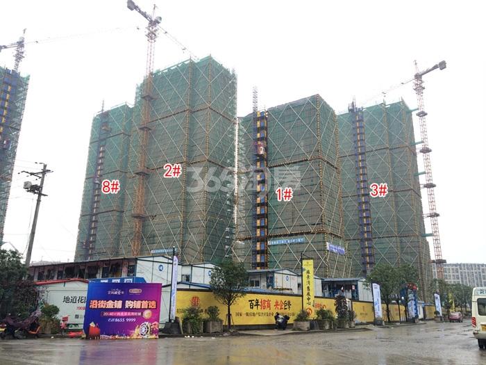 2015年11月雍景湾项目实景--1、2、3、8号楼