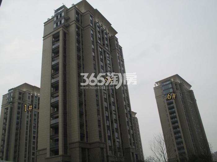 百翘香江1、5、6号楼施工实景图 2016年1月摄