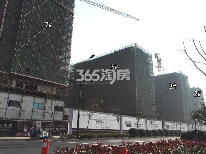 德信浙旅东宸2、3、5、7号楼施工进度实景图 2016年1月摄