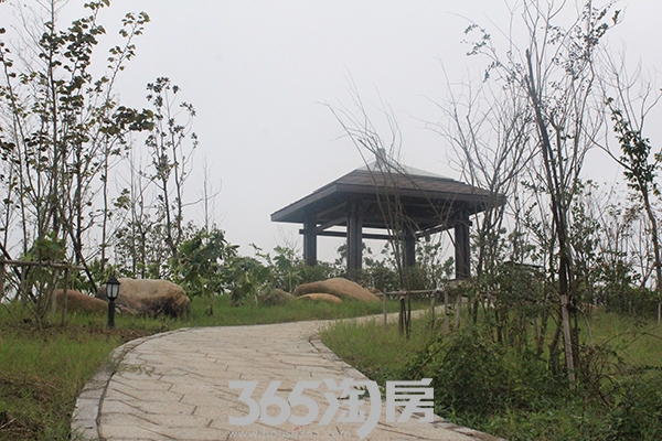 文德公园里城南公园