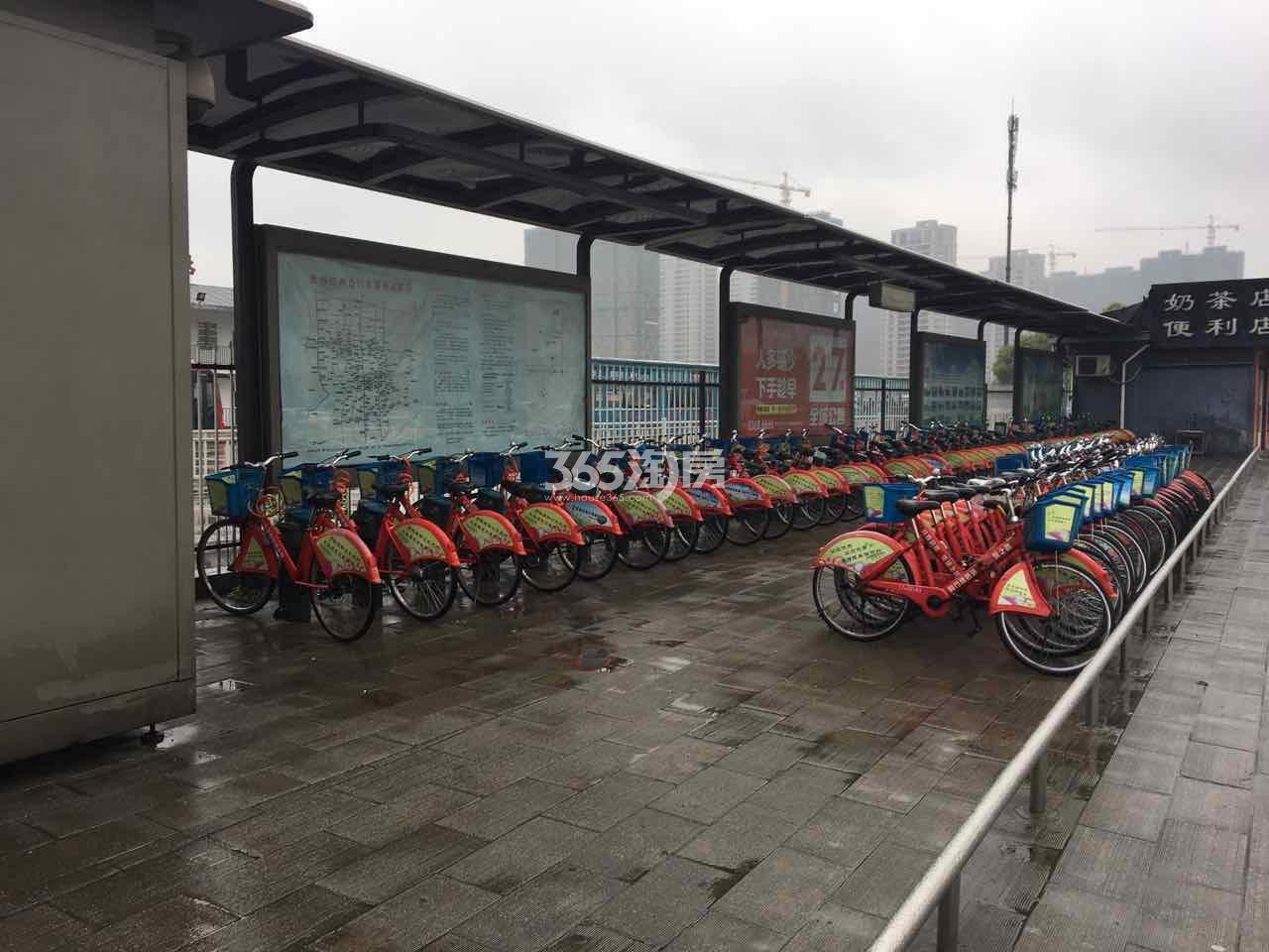 都会艺境风情大道上的自行车租赁点 2017.3.30摄