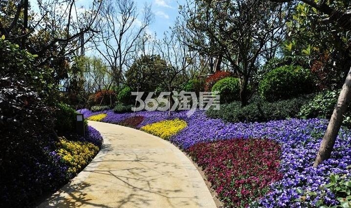 永威高新紫园园林实景图（摄于2017.8.1）
