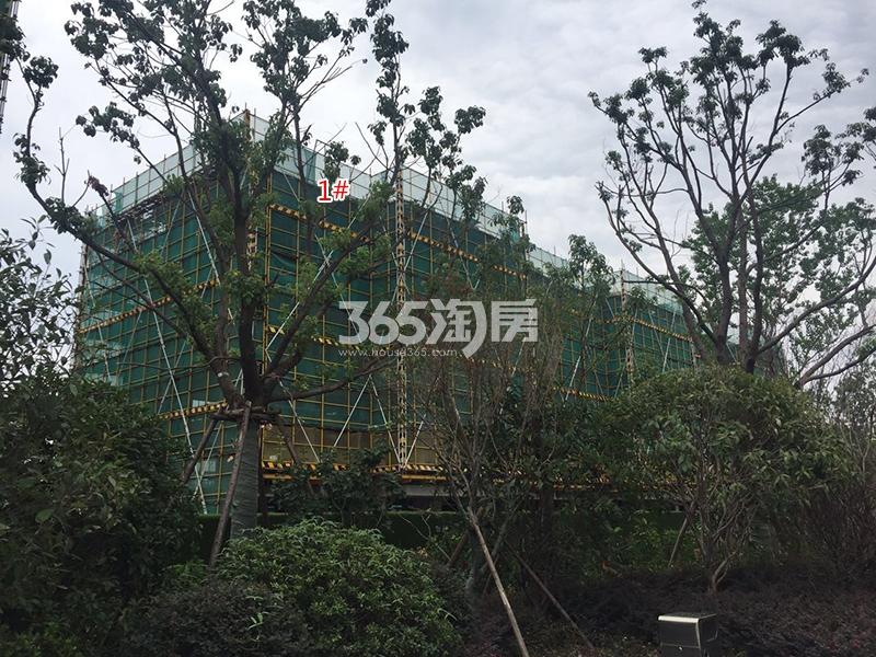 禹洲滨之江1号楼施工进程（2017.9）