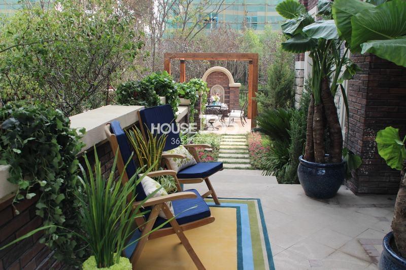 踏踏菜种植方法-踏踏菜种植方法